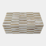 Global Views Alternare Bone Box-Cream/Brown 4"H x 10"W x 5"D DES990097